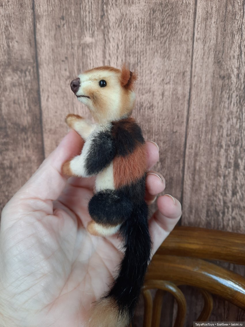 Пополнение минизоопарка теддиков (фото 3)