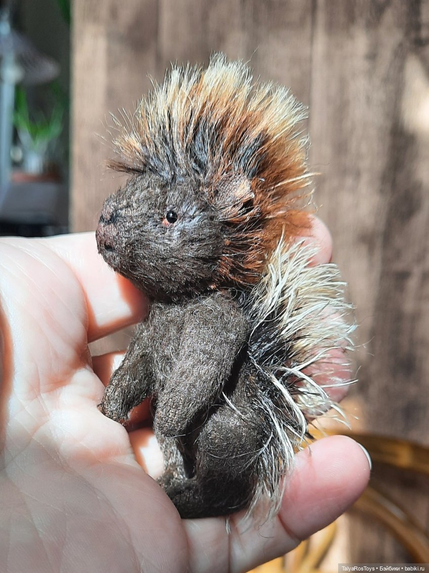 Пополнение минизоопарка теддиков (фото 2)