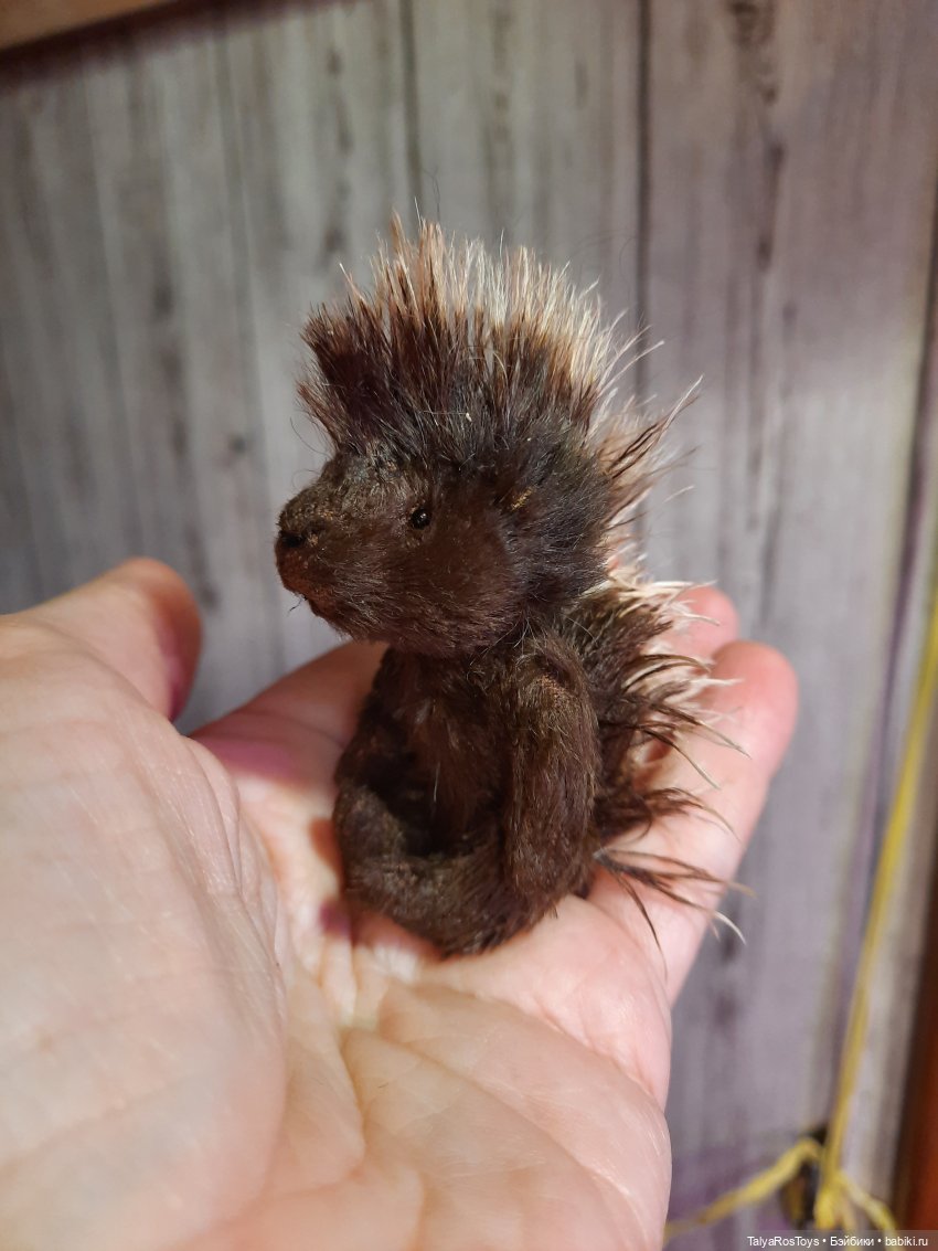 Пополнение минизоопарка теддиков