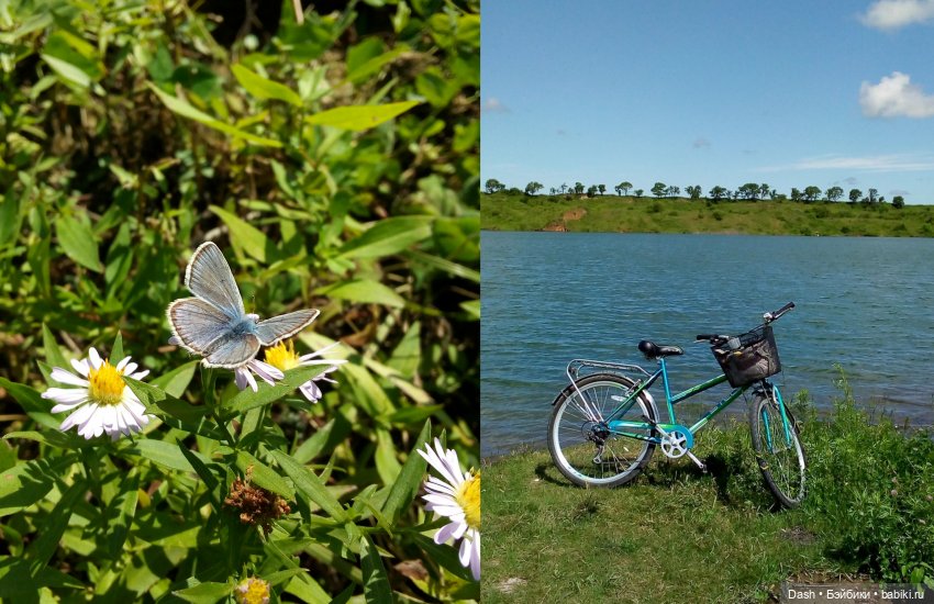 Мои Monster High: домоседки и путешественницы (фото 3)