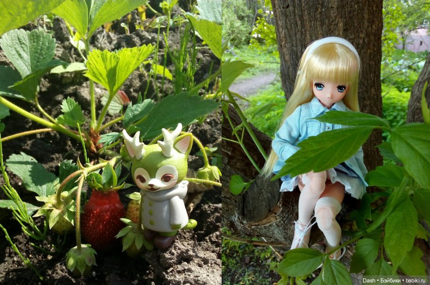 Приключения в деревне (Azone Pure Neemo) (фото 9)