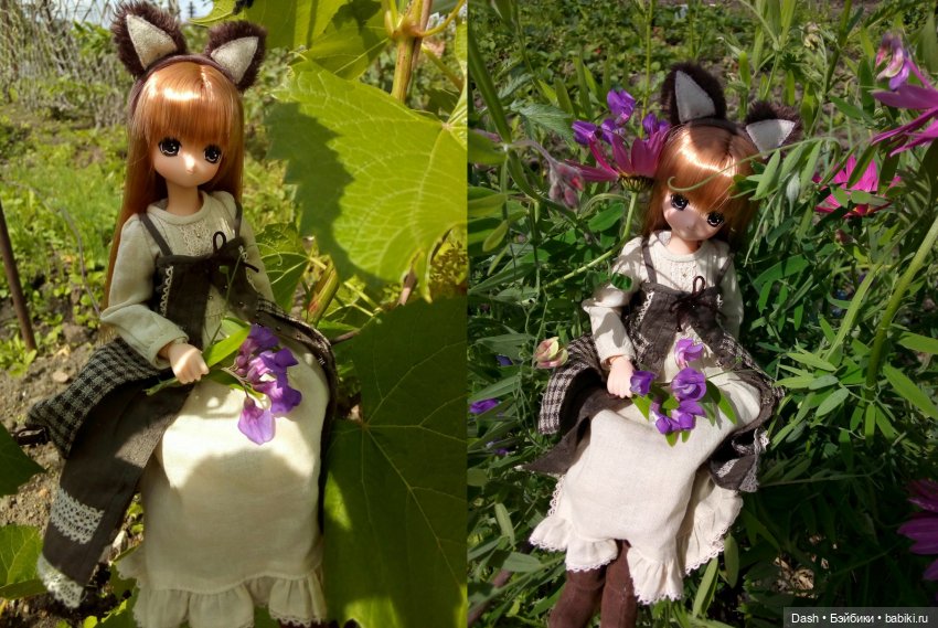 Приключения в деревне (Azone Pure Neemo) (фото 5)