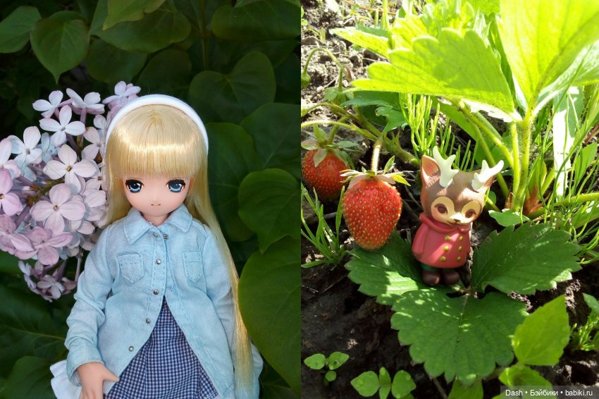 Приключения в деревне (Azone Pure Neemo) (фото 3)