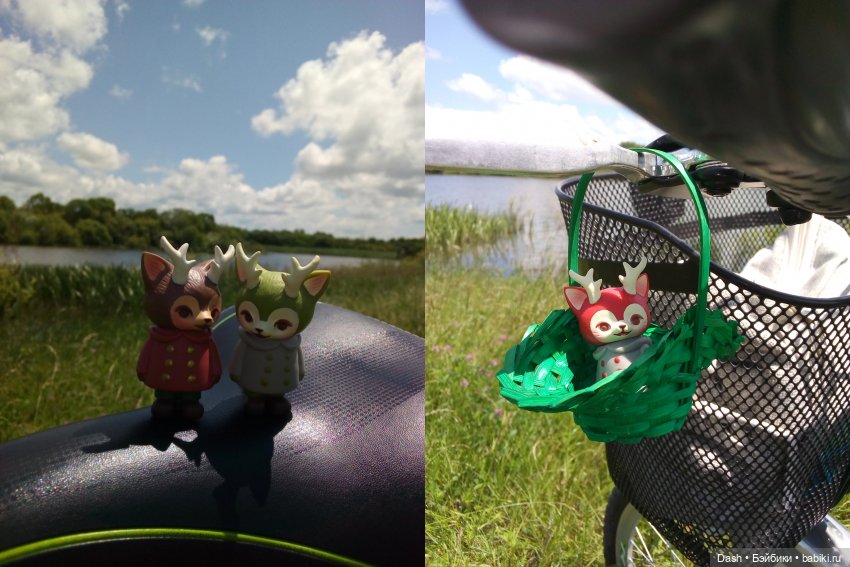 Приключения в деревне (Azone Pure Neemo) (фото 7)