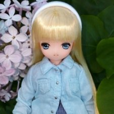 Приключения в деревне (Azone Pure Neemo)