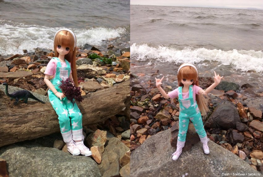 Большое морское путешествие (Azone Pure Neemo) (фото 4)