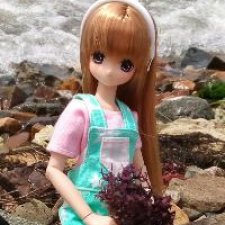 Большое морское путешествие (Azone Pure Neemo)
