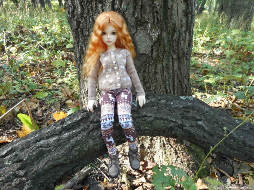 Ноэль: в сердце листопада (Fairyland minifee Mirwen) | Бэйбики Ноэль: в сердце листопада (Fairyland minifee Mirwen) (фото 3)