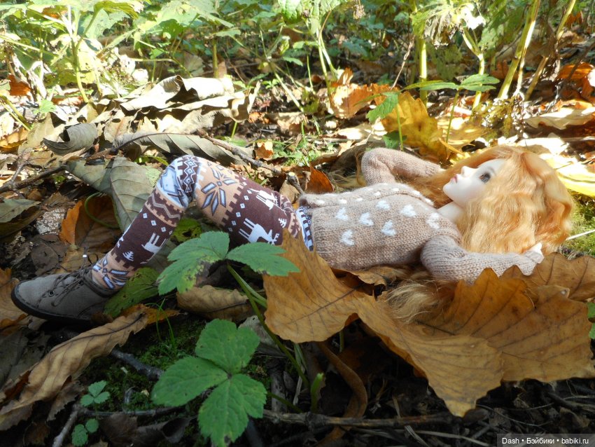 Ноэль: в сердце листопада (Fairyland minifee Mirwen) | Бэйбики Ноэль: в сердце листопада (Fairyland minifee Mirwen) (фото 8)