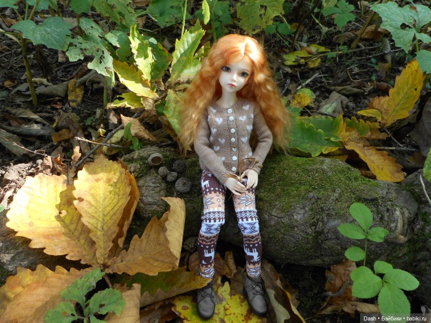 Ноэль: в сердце листопада (Fairyland minifee Mirwen) | Бэйбики Ноэль: в сердце листопада (Fairyland minifee Mirwen) (фото 2)