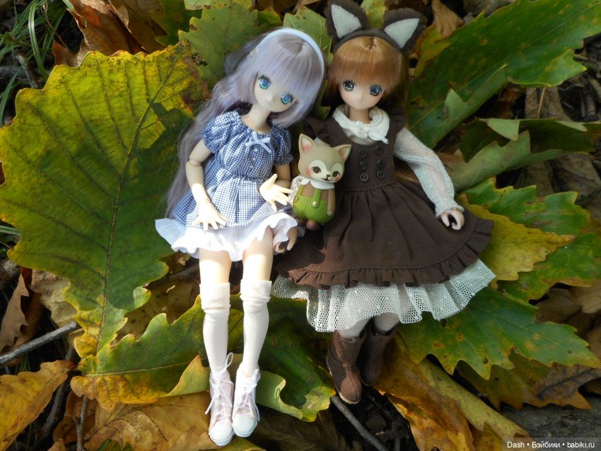 Лесные пикси (Azone Pure Neemo) (фото 2)