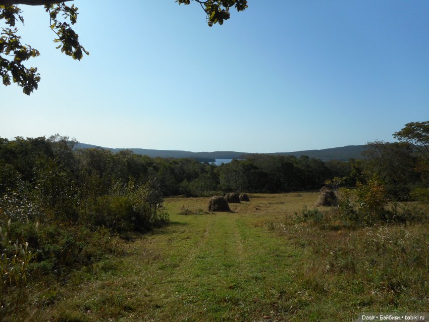 Осень на побережье (Fairyland minifee, Azone Pure Neemo) (фото 4)