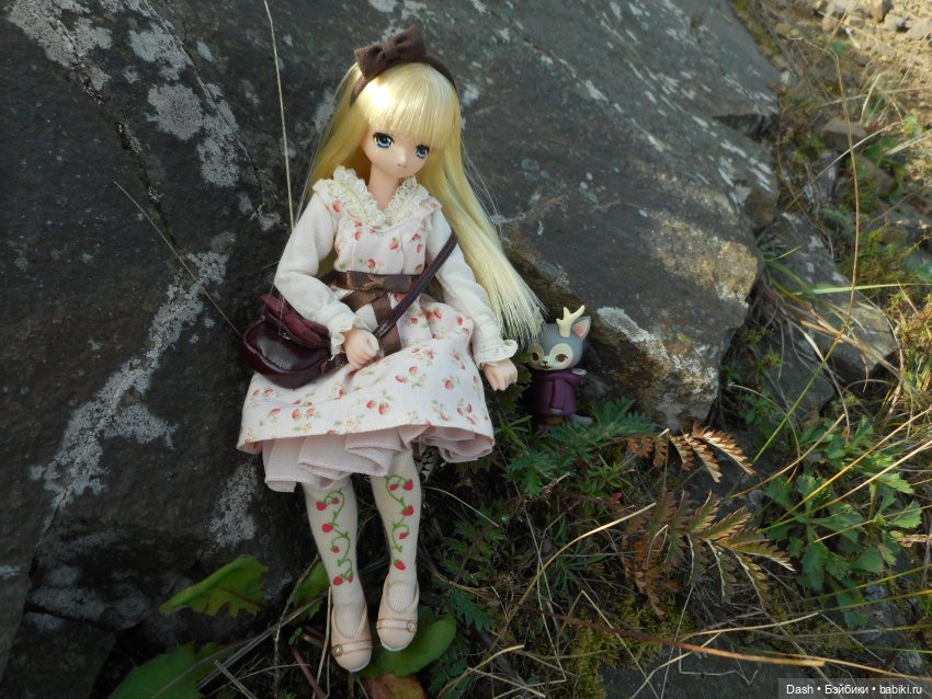 Подружки-пастушки (Azone Pure Neemo) (фото 3)