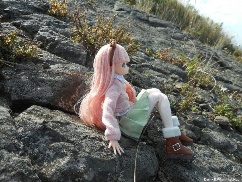 Подружки-пастушки (Azone Pure Neemo)