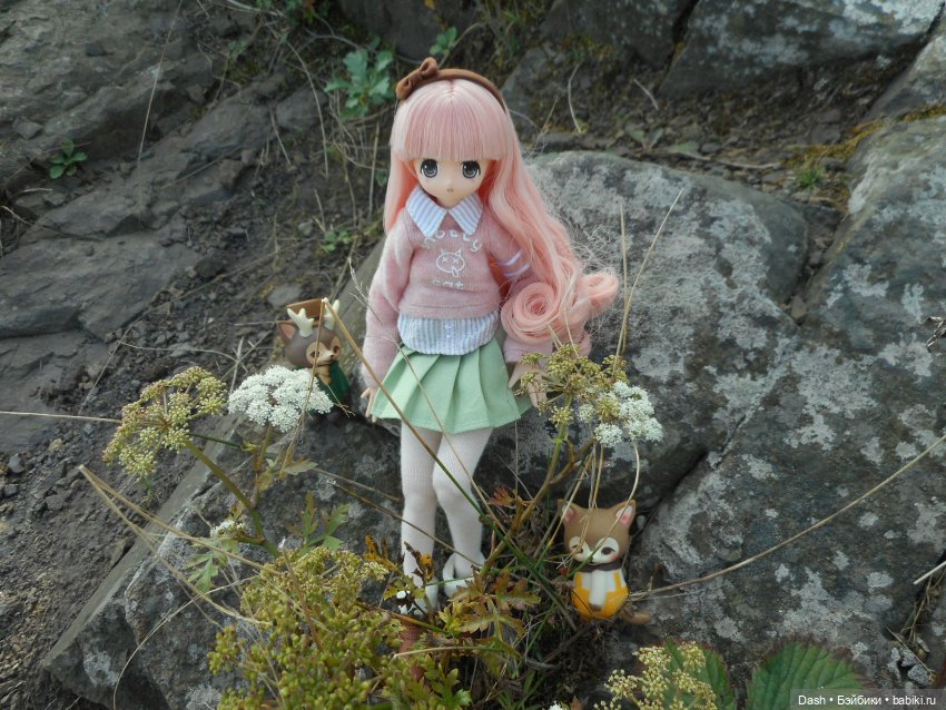 Подружки-пастушки (Azone Pure Neemo) (фото 8)