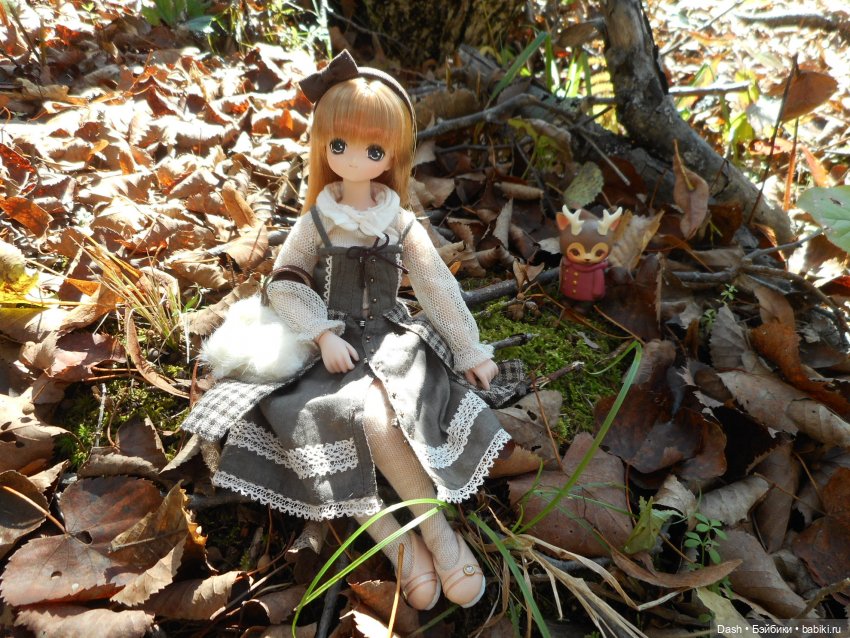 Осень на побережье (Fairyland minifee, Azone Pure Neemo) (фото 3)
