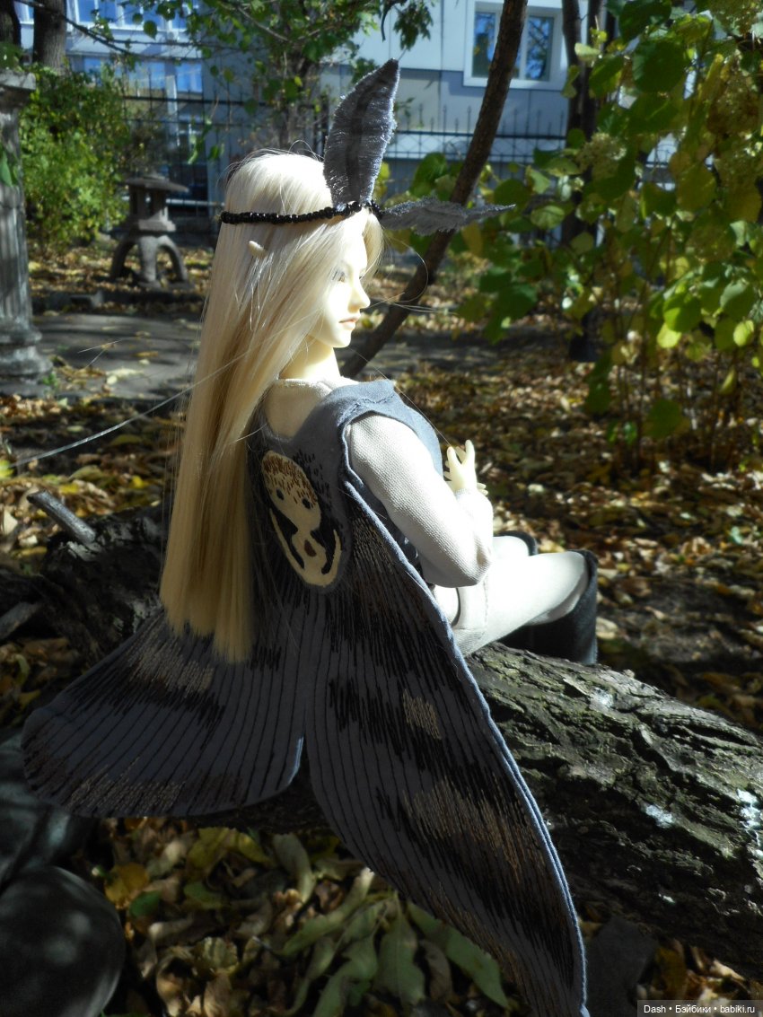 Крылья для мотылька (Soom Auber)