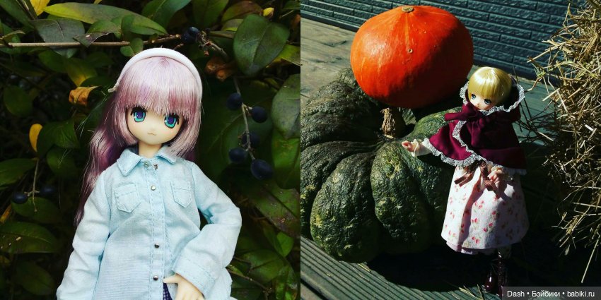 До встречи, золотая осень! (Azone Pure Neemo)