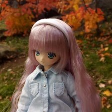 До встречи, золотая осень! (Azone Pure Neemo)