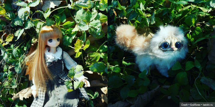 Азонки-затейницы — Куклы Azone (Азон) и тела Pure Neemo: фото (фото 8)