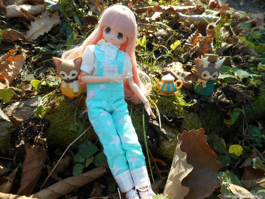 Азонки-затейницы — Куклы Azone (Азон) и тела Pure Neemo: фото (фото 2)