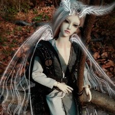 Запоздалый мотылёк (Soom Auber)