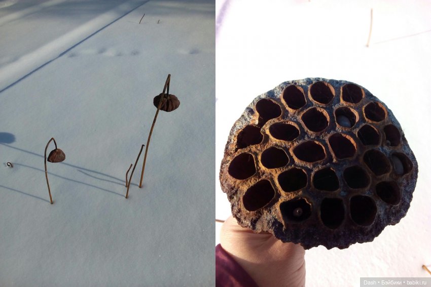 Тайна ледяного озера — Аниме куклы (MJD/Винил): Imomo (фото 7)