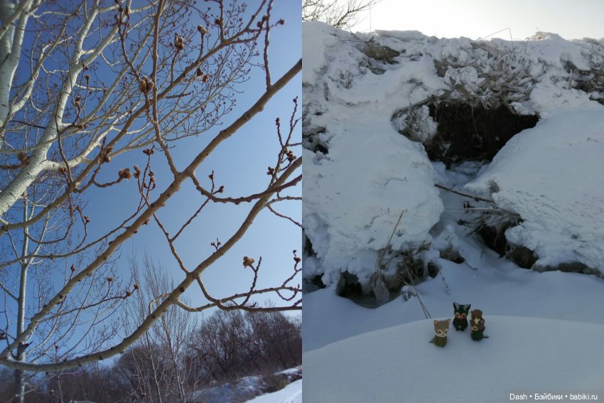 Тайна ледяного озера — Аниме куклы (MJD/Винил): Imomo (фото 3)