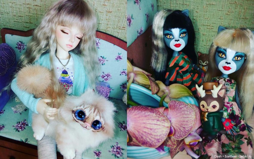 Ноэль и Пушок — Фотоистории с куклами BJD (БЖД): сериалы (фото 4)