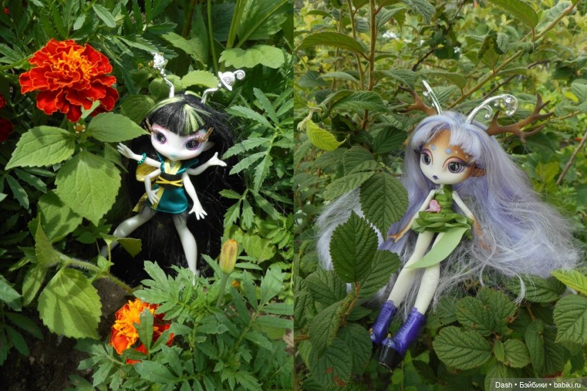 Как Ина друзей искала (Novi Stars) (фото 5)