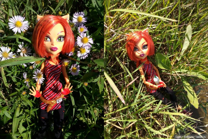 Кошкин дом | Бэйбики Кошкин дом — Куклы Monster High и Ever After High: G1 (фото 2)