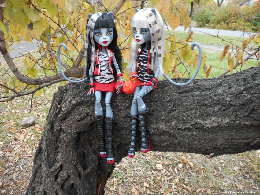 Кошкин дом | Бэйбики Кошкин дом — Куклы Monster High и Ever After High: G1