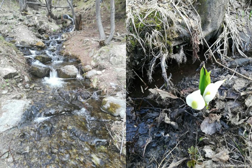 Круговорот Клео в природе (фото 8)