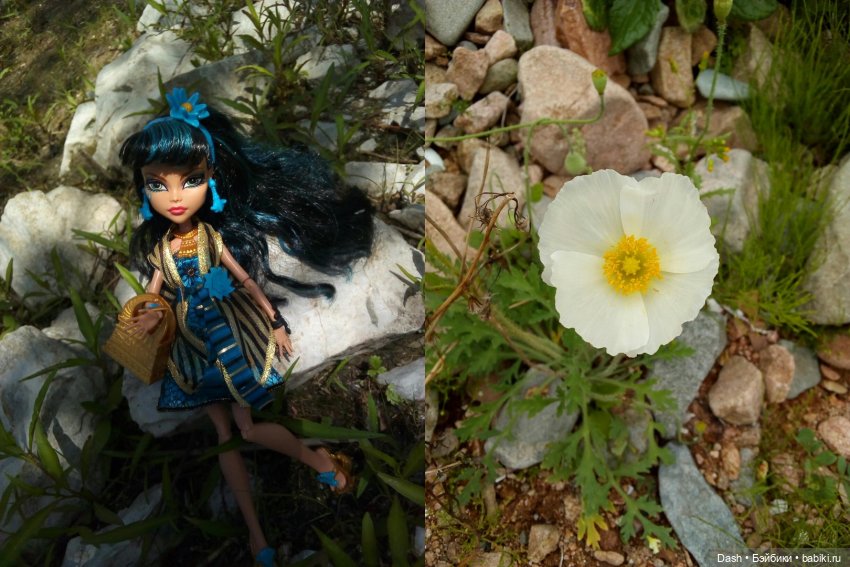 Круговорот Клео в природе (фото 4)