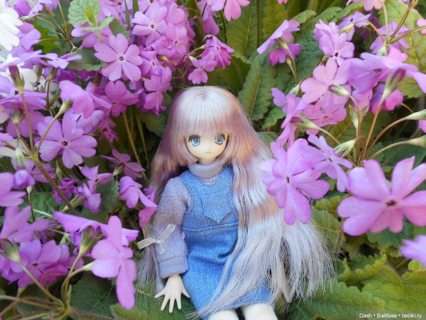 Цветущий май — Куклы Azone (Азон) и тела Pure Neemo: фото (фото 2)