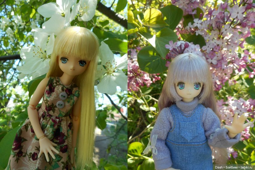 Цветущий май — Куклы Azone (Азон) и тела Pure Neemo: фото