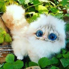 Ноэль и Пушок