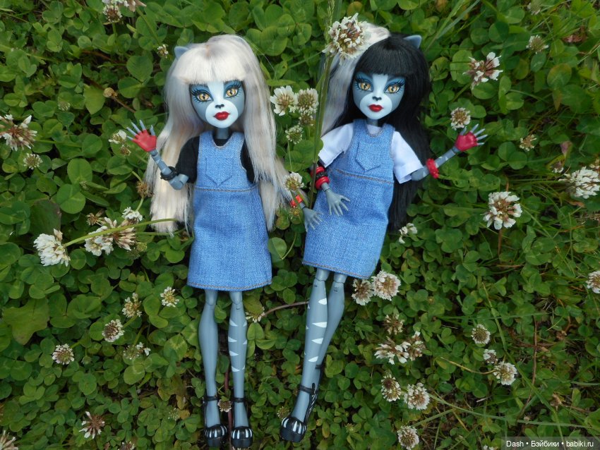 Кошки в большом парке на острове (фото 3)