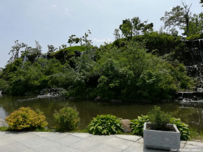 Кошки в большом парке на острове (фото 5)