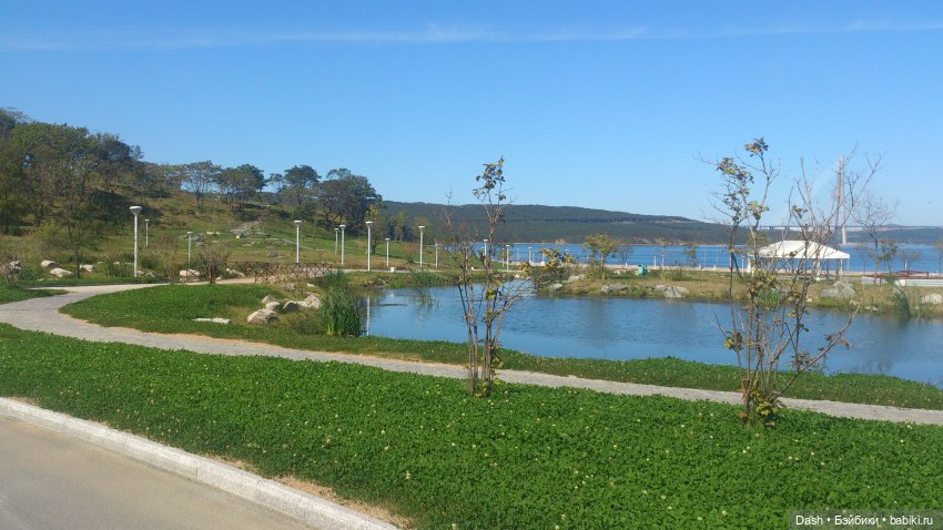 Кошки в большом парке на острове