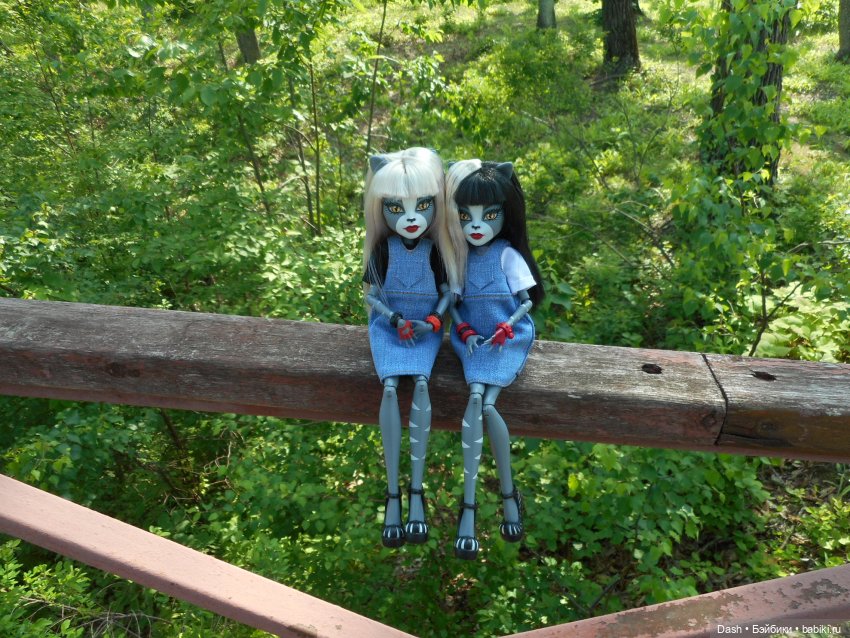 Кошки в большом парке на острове