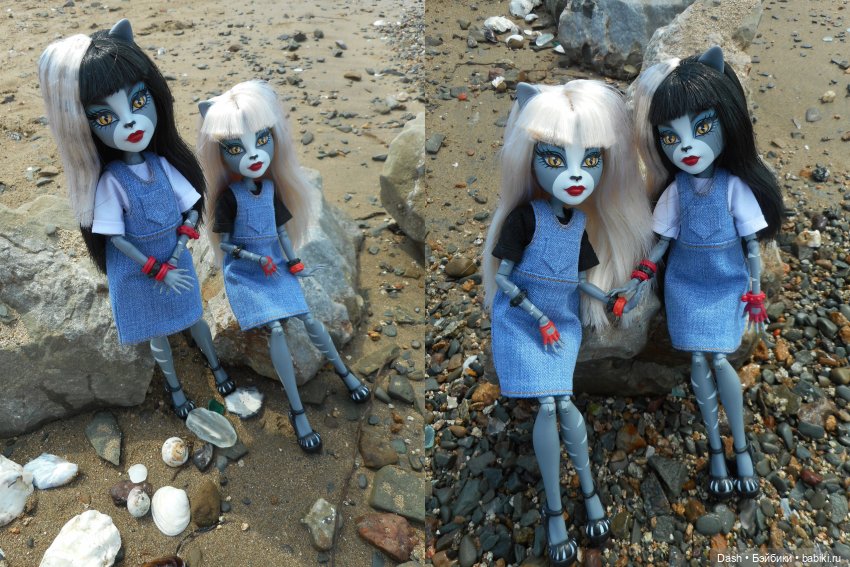 Кошки в большом парке на острове