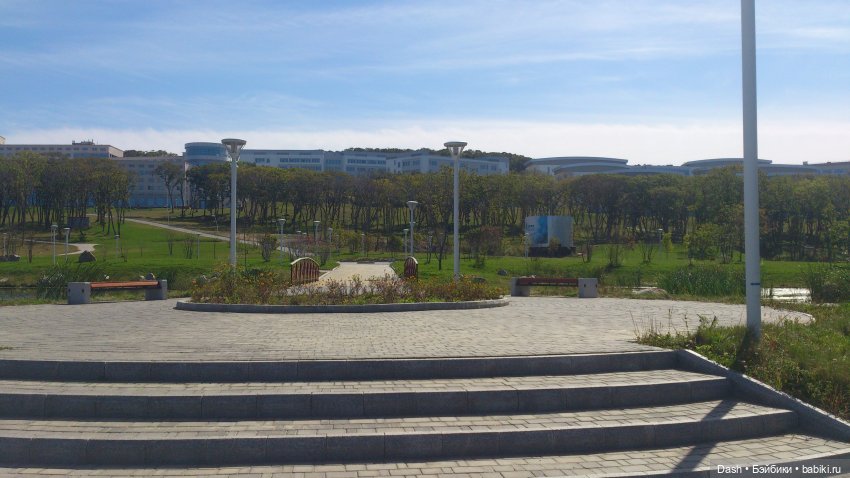 Кошки в большом парке на острове (фото 2)