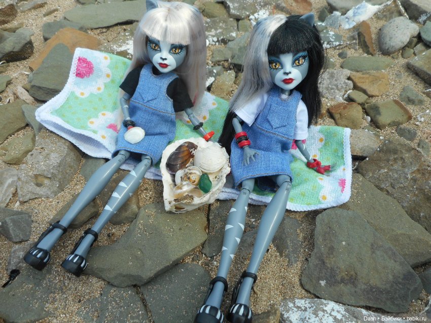 Кошки в большом парке на острове (фото 10)