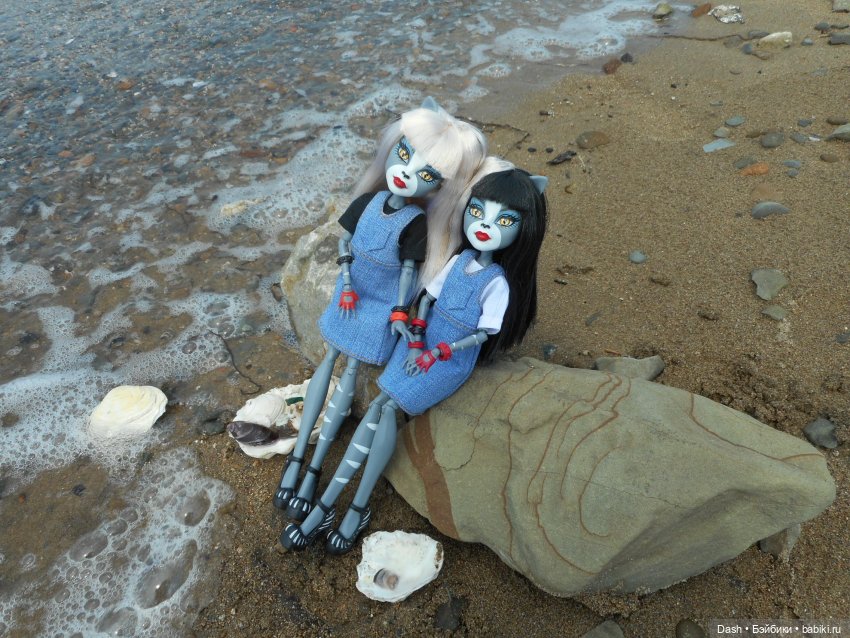 Кошки в большом парке на острове (фото 4)