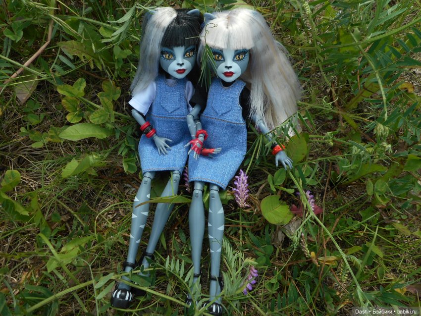 Кошки в большом парке на острове (фото 8)