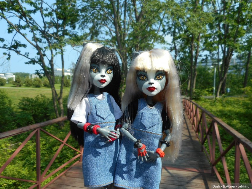 Кошки в большом парке на острове (фото 6)