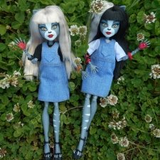 Кошки в большом парке на острове