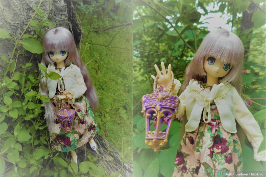 В летнем лесу — Куклы Azone (Азон) и тела Pure Neemo: фото (фото 7)