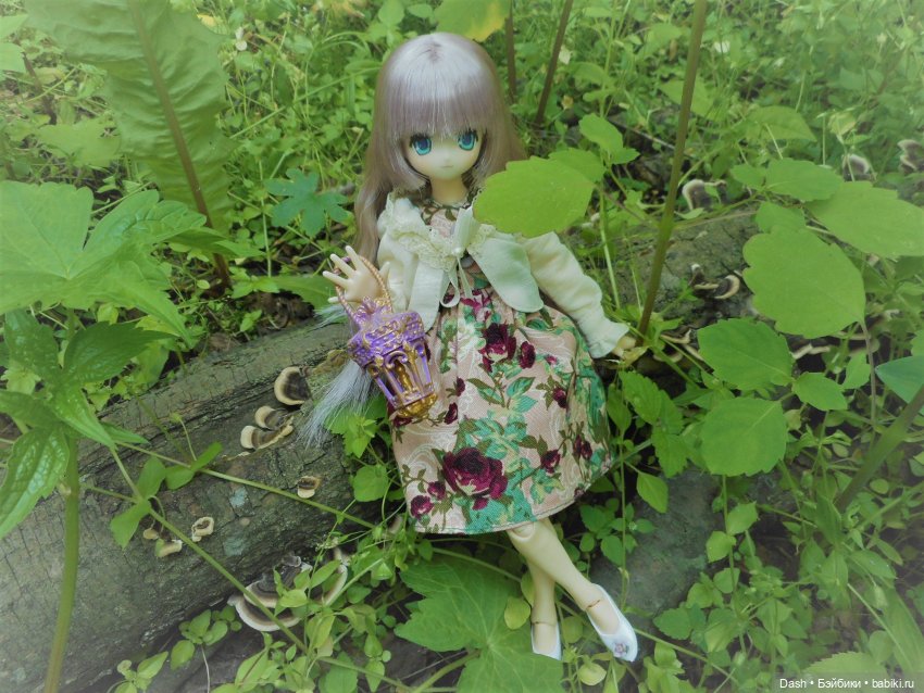 В летнем лесу — Куклы Azone (Азон) и тела Pure Neemo: фото